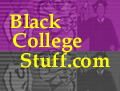 BCS Logo Pair-8