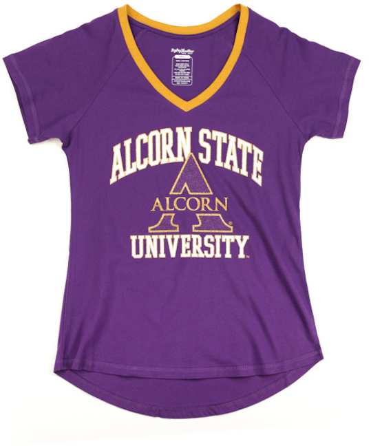 Alcorn State V-Neck Tee - 2024