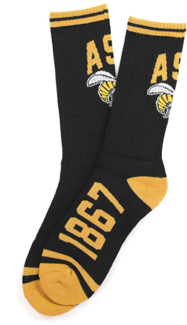 Alabama State Socks - 2024
