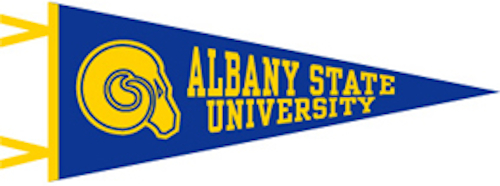 Albany State Pennant