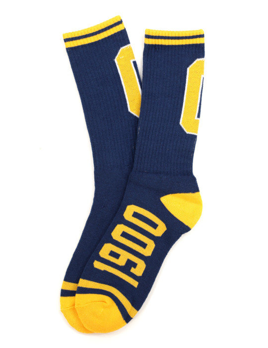 Coppin State Socks - 2024