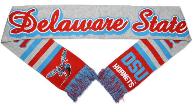 Delaware State Scarf - 1920