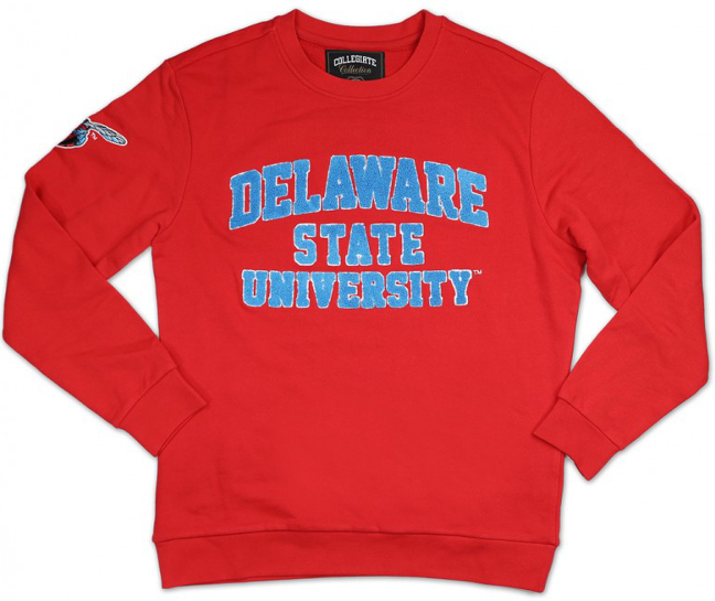 Delaware State Chenille Embroidered Sweatshirt - 1920