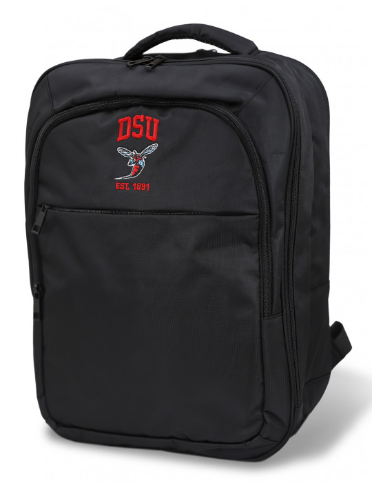 Delaware State Backpack - 2024