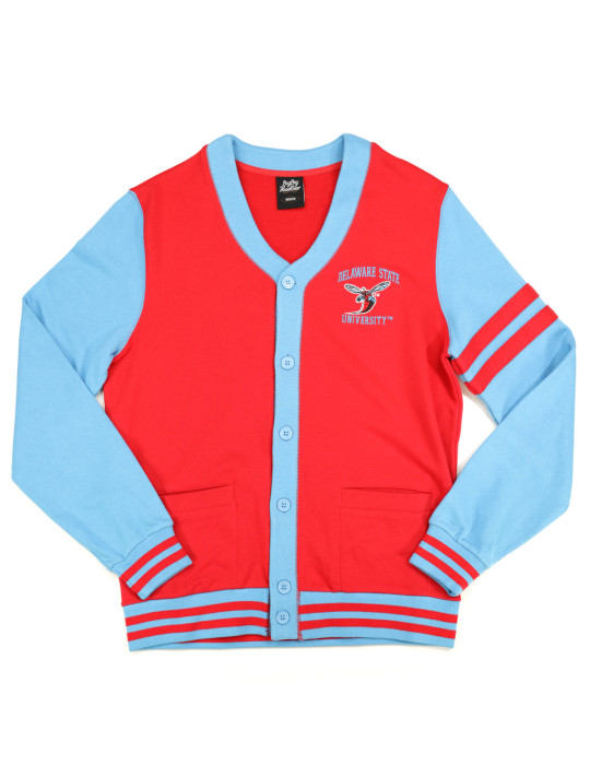 Delaware State Men's Cardigan - 2024