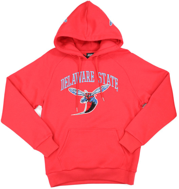 Delaware State Hoodie - 2023