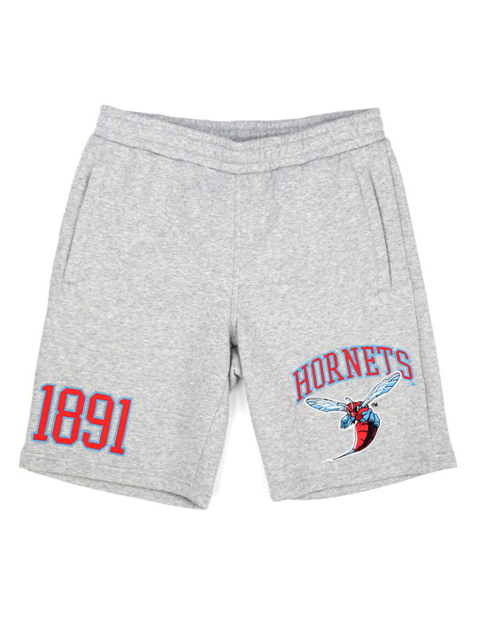 Delaware State Men's Grey Shorts - 2024