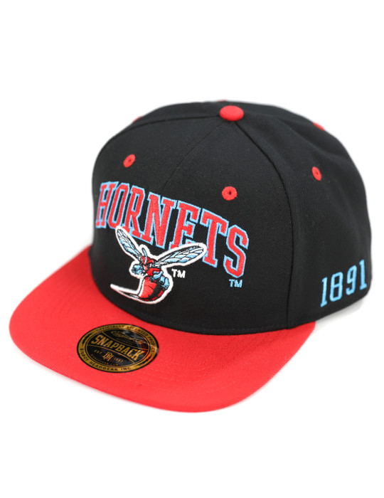 Delaware State Snapback Cap - 2024