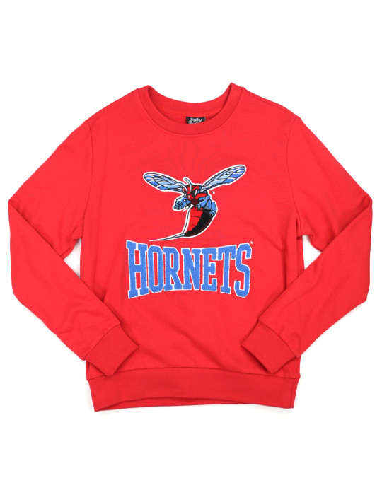 Delaware State Embroidered Sweatshirt - 2024