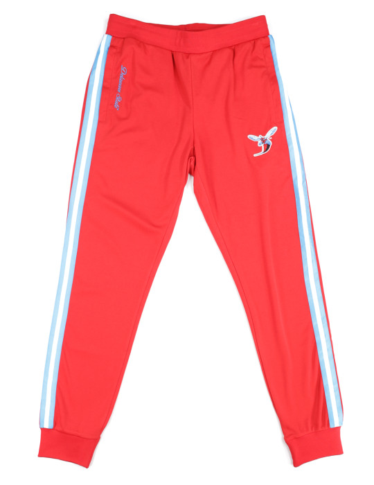 Delaware State Jogging Pants - 2024