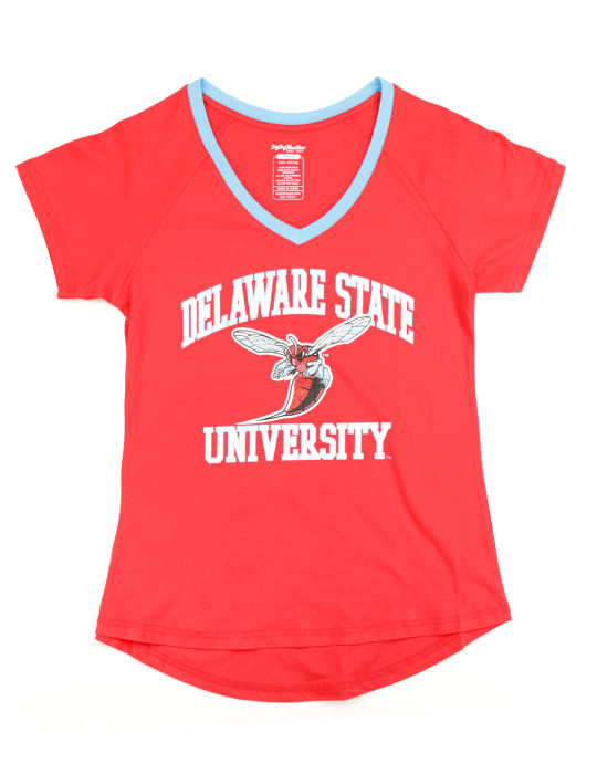 Delaware State V-Neck Tee - 2024