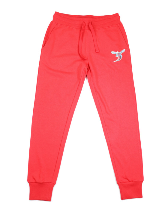 Delaware State Women's Sweat Pants - 2024