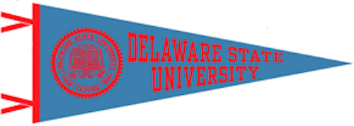 Delaware State Pennant