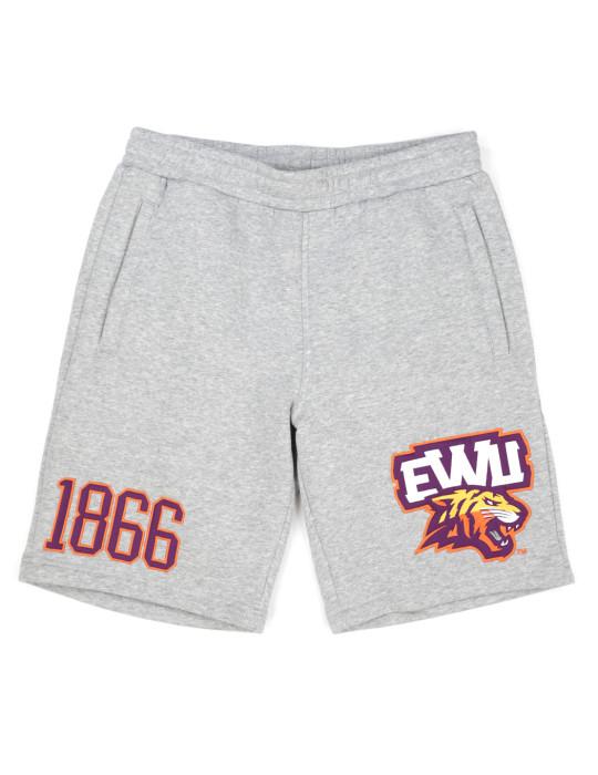 Edward Waters Men's Grey Shorts - 2024