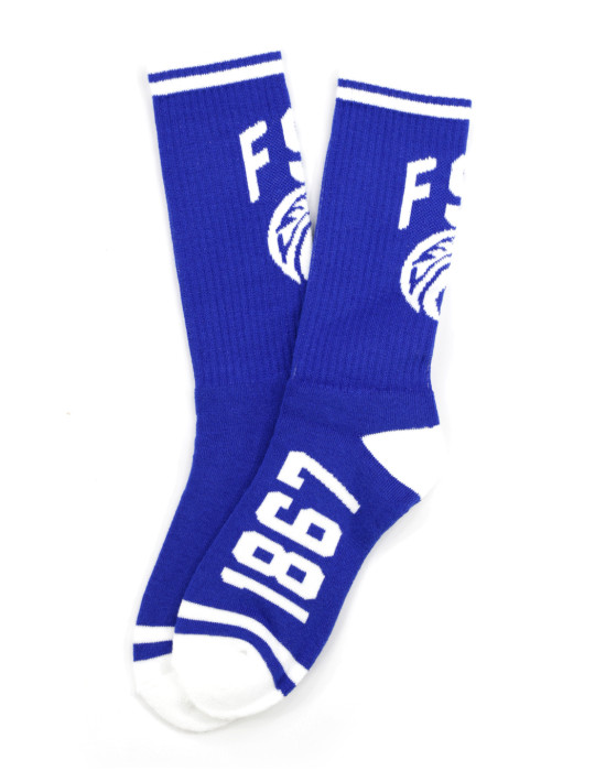 Fayetteville State Socks - 2024