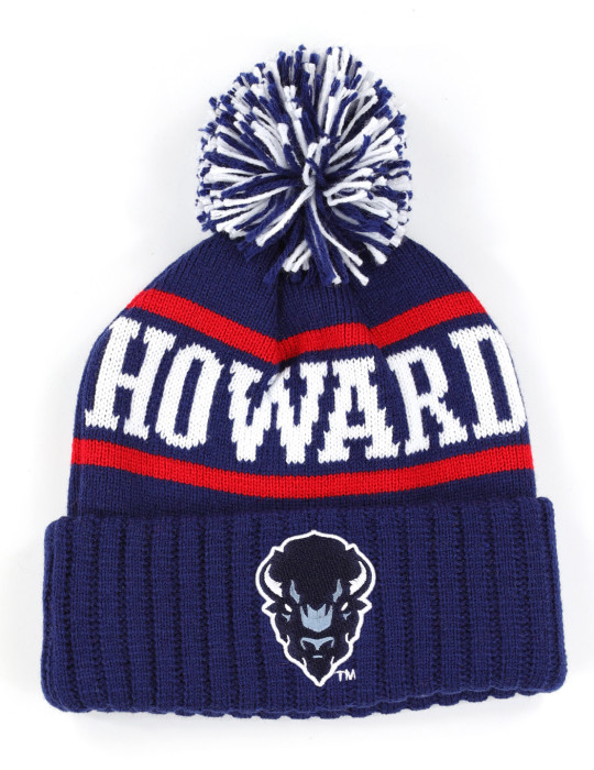 Howard Beanie w/ Puffball - 2025