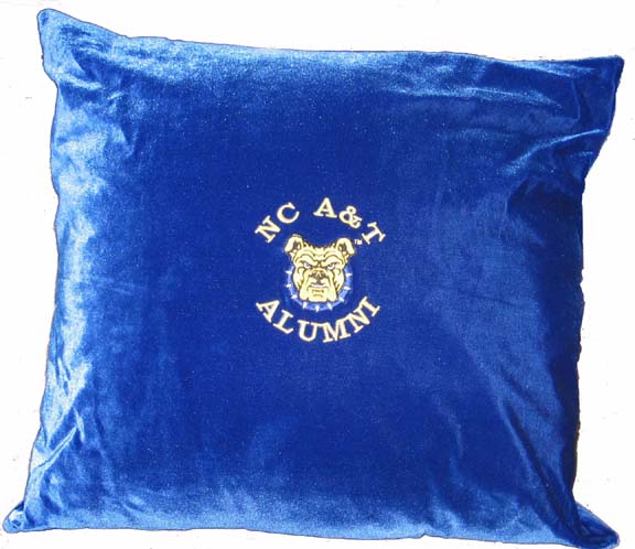 NCAT pillow