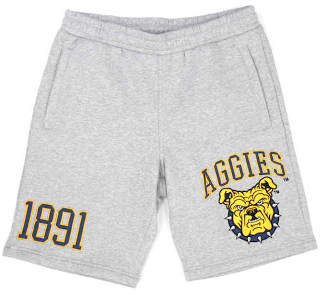 NCA&T State Men's Grey Shorts - 2023