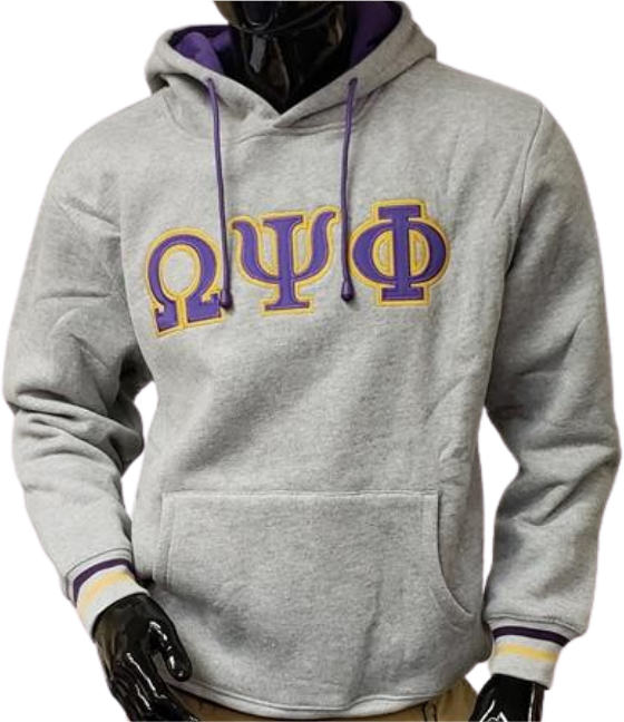 Omega Grey Hoodie - 2020 - BD