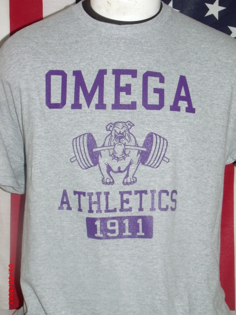 Omega Grey Athletic Tee - LG