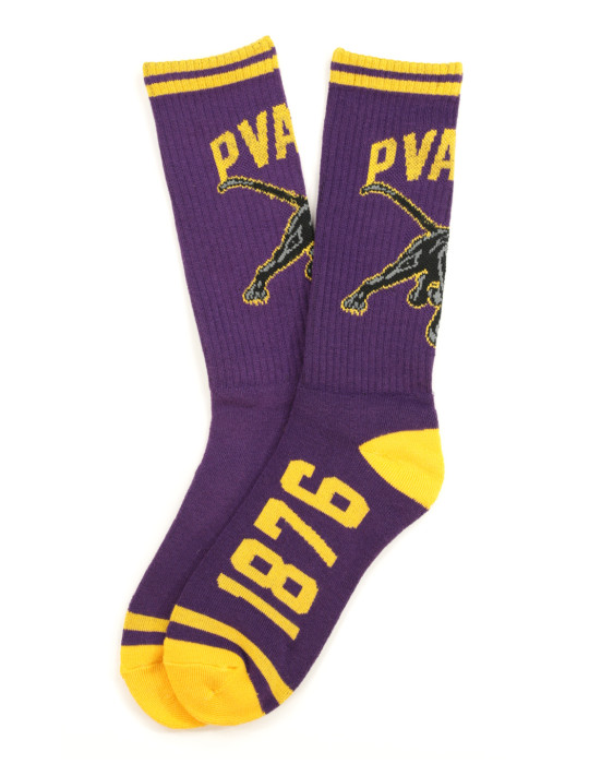 PVAM Socks - 2024