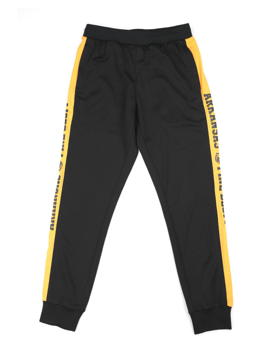 University Arkansas Pine Bluff Jogging Pants - 2025