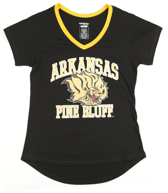 UAPB V-Neck Tee - 2024