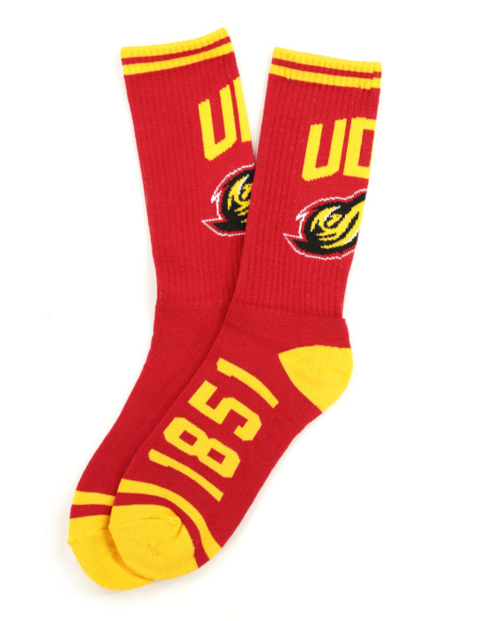 UDC Socks - 2024