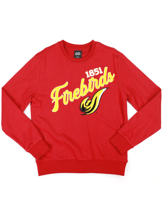 University of DC Embroidered Sweatshirt - 2025