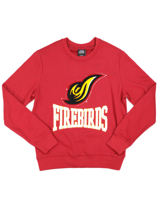 UDC Embroidered Sweatshirt - 2024