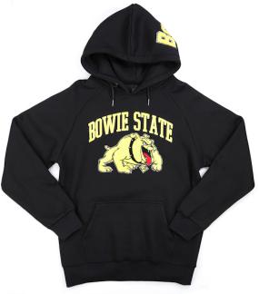 BOWIE_HOODIE_01_2023-540x700w