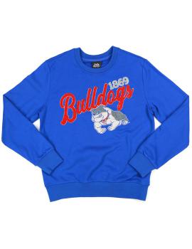 TC_SWEATSHIRT-540x700w