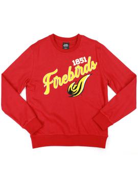 UDC_SWEATSHIRT-540x700w