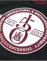 ALABAMA A&M 150TH ANNIVERSARY FOOTBALL JERSEY - BLACK 2