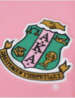 AKA Pink Chenille Sweatshirt - 2023 2