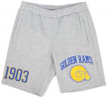 Albany State Men's Grey Shorts - 2024