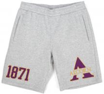 Alcorn State Men's Grey Shorts - 2024