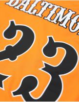 NLBM - Baltimore Black Sox Baseball Jersey - 2025 5