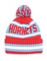 Delaware State Beanie w/ Puffball - 2024 1