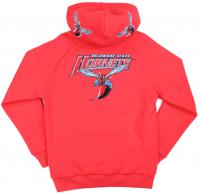 Delaware State Hoodie - 2023 1