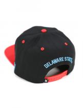 Delaware State Snapback Cap - 2024 1