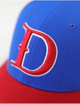 NLBM - Detroit Stars Legacy Cap - 2025 2