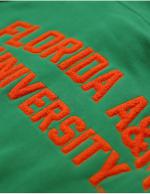 Florida A&M Hoodie - 2022 3