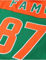Florida A&M Football Jersey - 2025 4