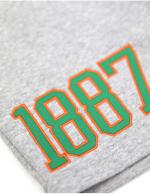 Florida A&M Men's Grey Shorts - 2023 2