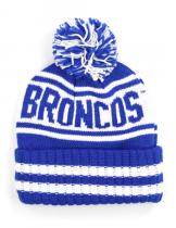 Fayetteville State Beanie w/ Puffball - 2024 1