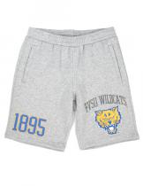 Fort Valley State Men's Grey Shorts - 2024