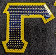 Sigma Gamma Rho Sorority Sequin Letter Patches 1