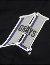 NLBM Homestead Grays Dri-Fit Tee - 2025 3