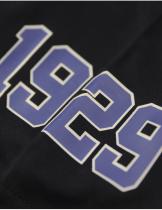 NLBM Homestead Grays Dri-Fit Tee - 2025 4